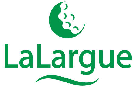 Ultimate Blogging Championship